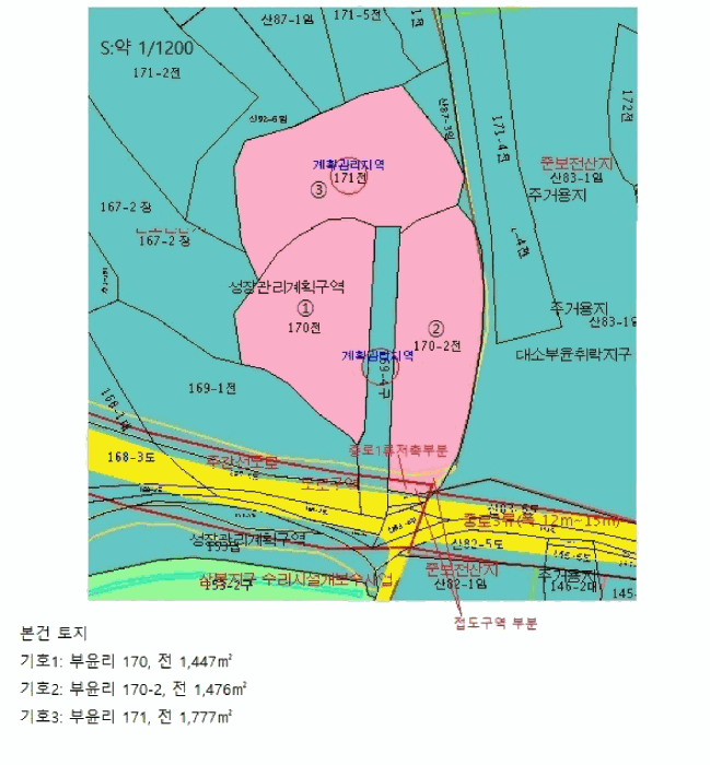 사진 11