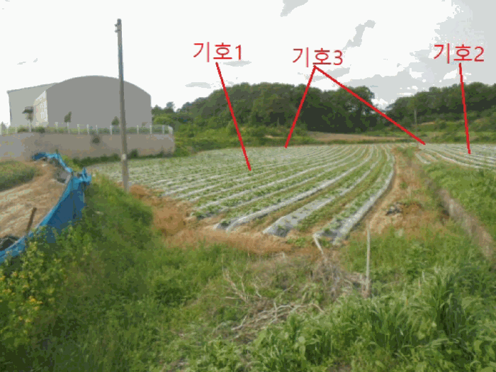 사진 2