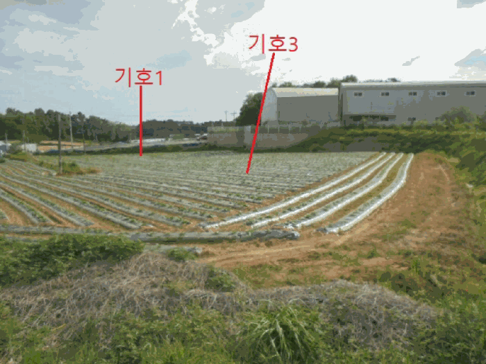사진 3