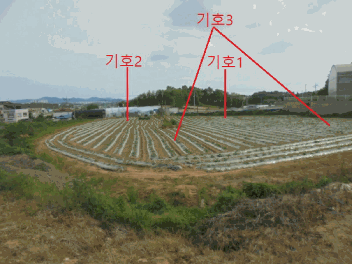 사진 6