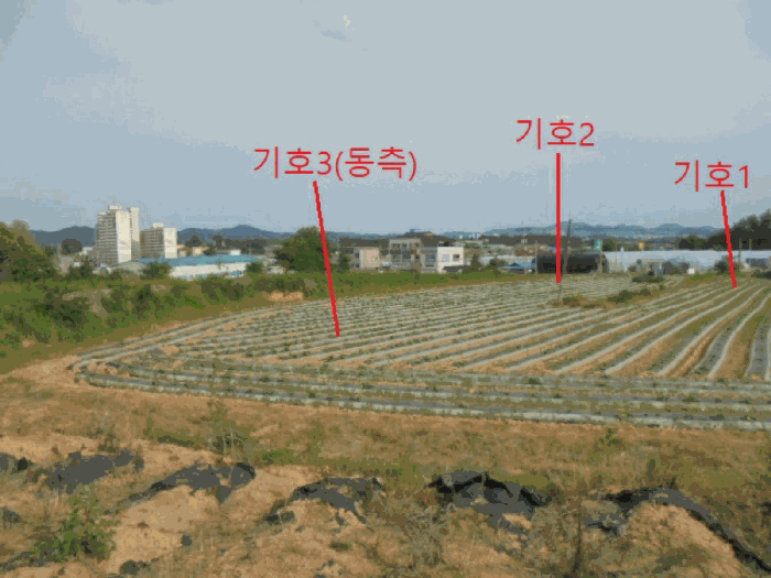 사진 7