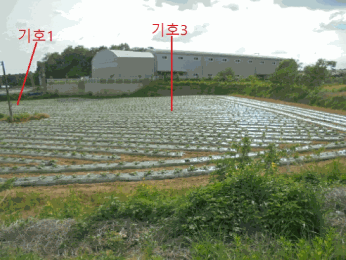 사진 8