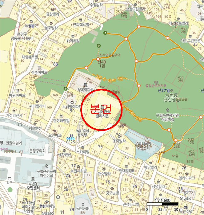 사진 6
