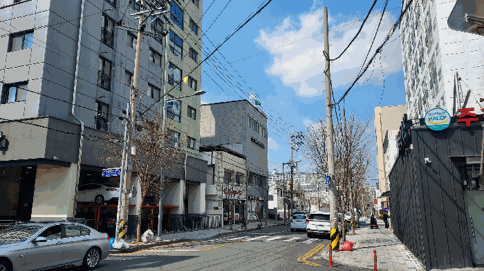 사진 49