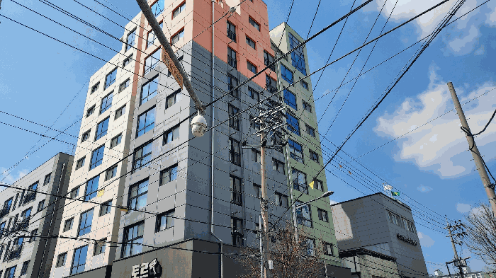 사진 50