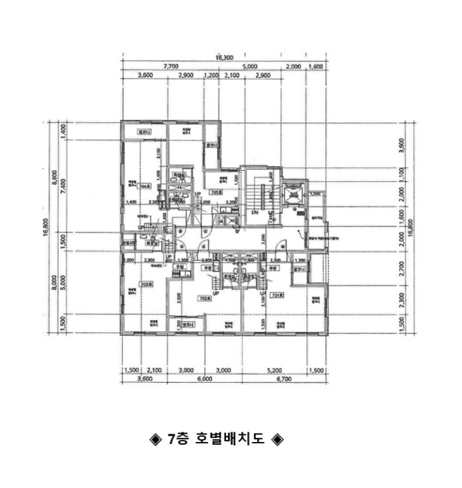 사진 46