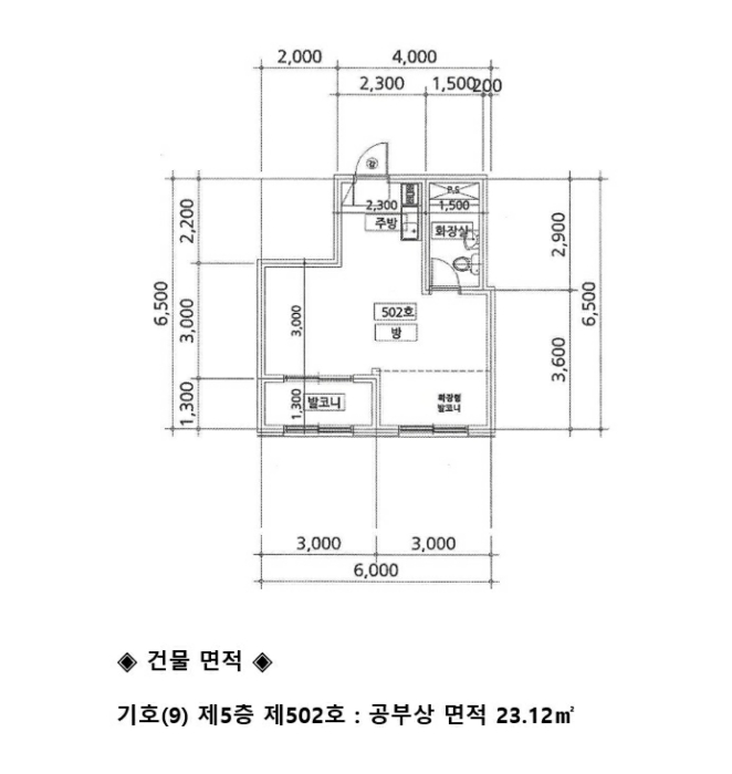 사진 50