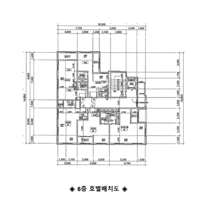 사진 53