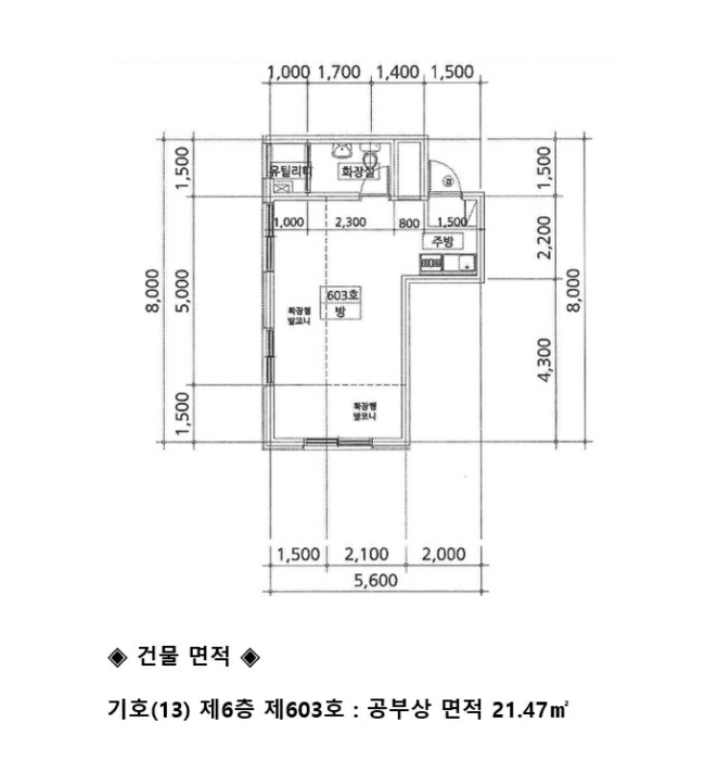사진 55