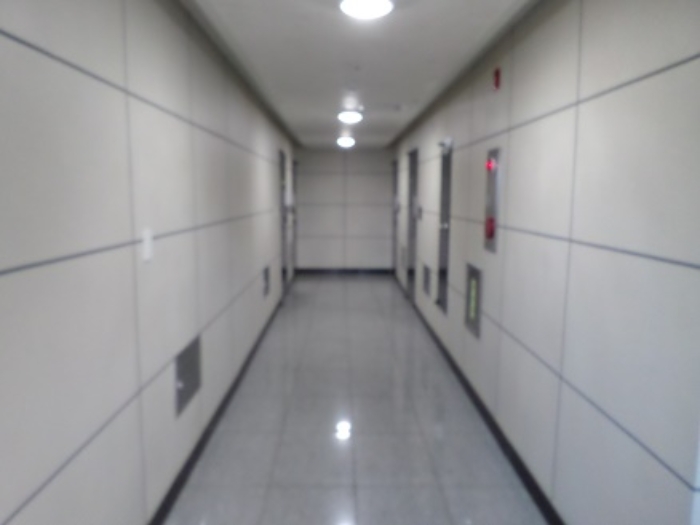 사진 6