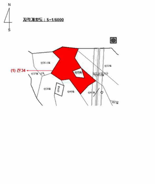 사진 19