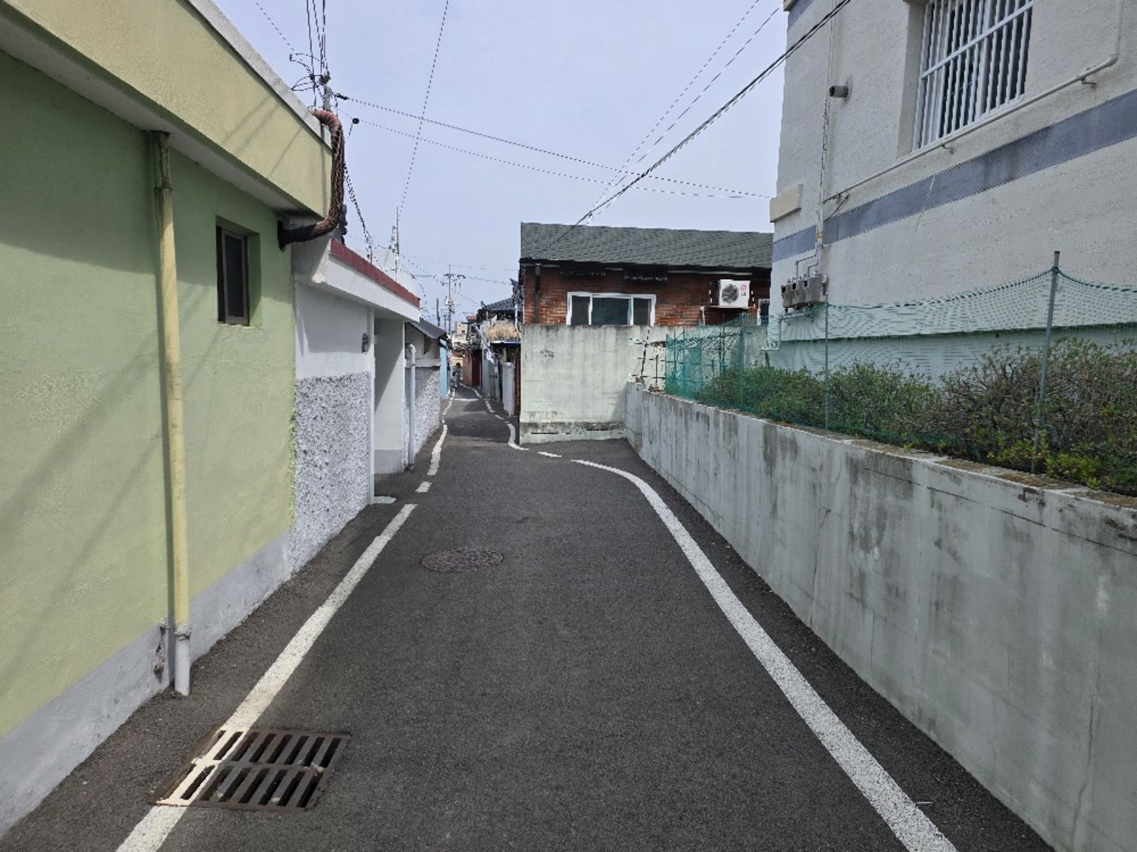 사진 1