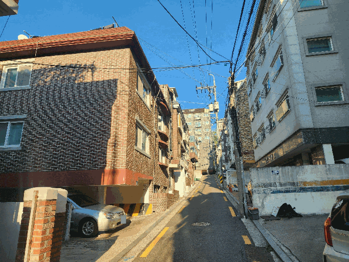 사진 12