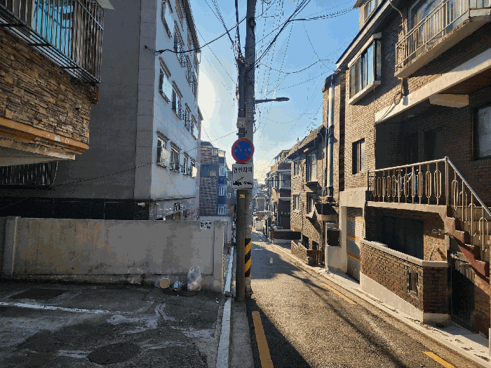 사진 9