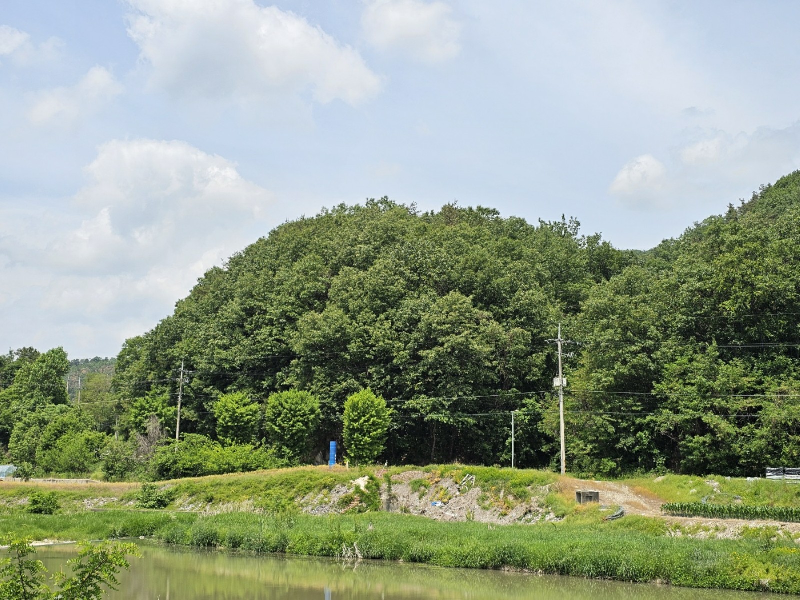 사진 1