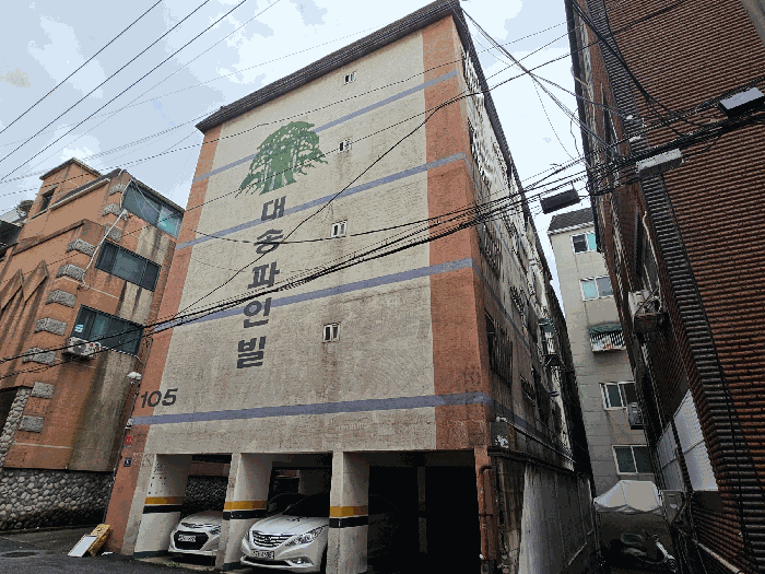 사진 10