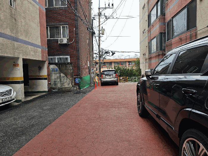 사진 12