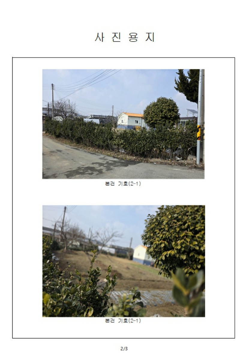 사진 1