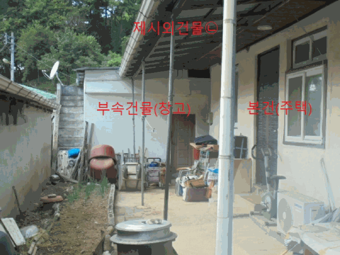사진 11