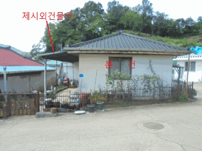 사진 10