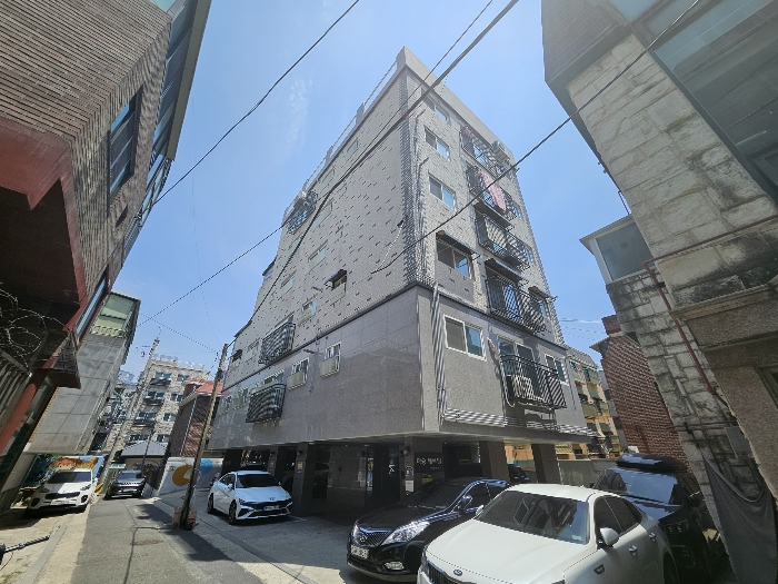 사진 8