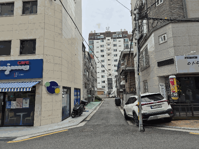 사진 11
