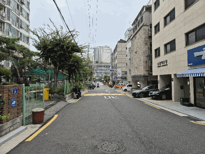 사진 12