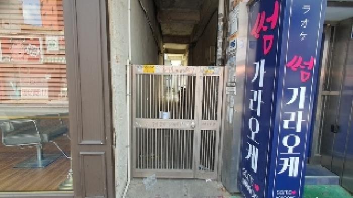 사진 11