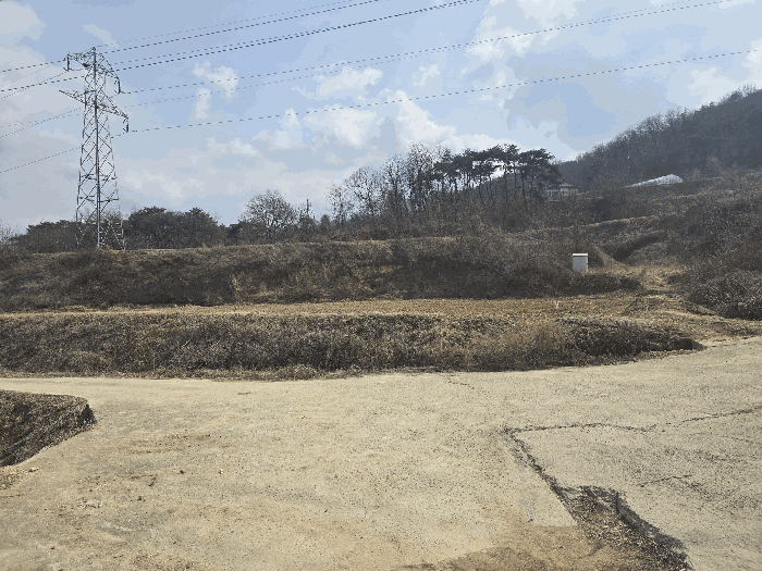 사진 12