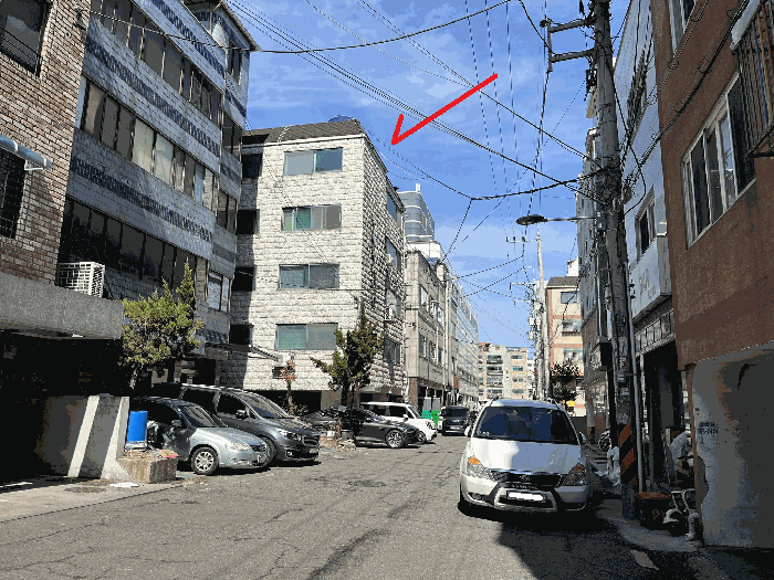 사진 11