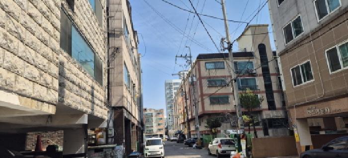 사진 5