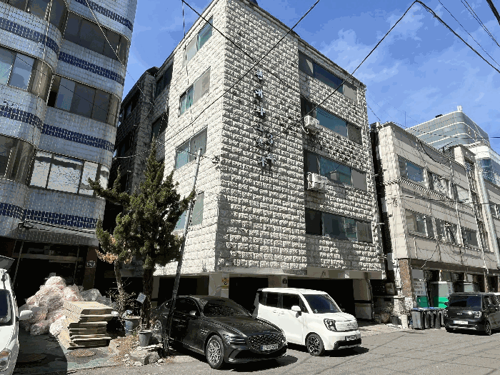 사진 9