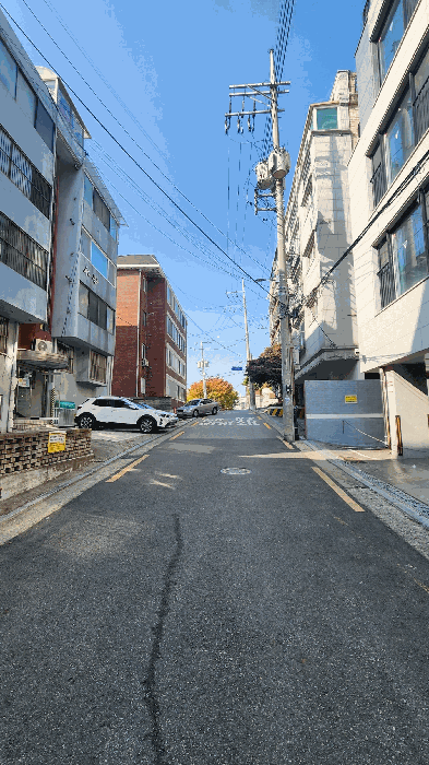 사진 11