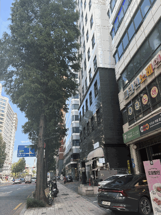 사진 10
