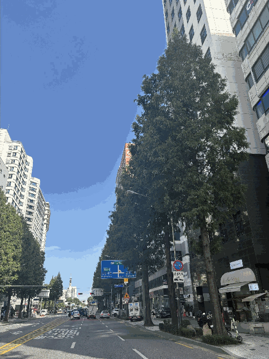 사진 6