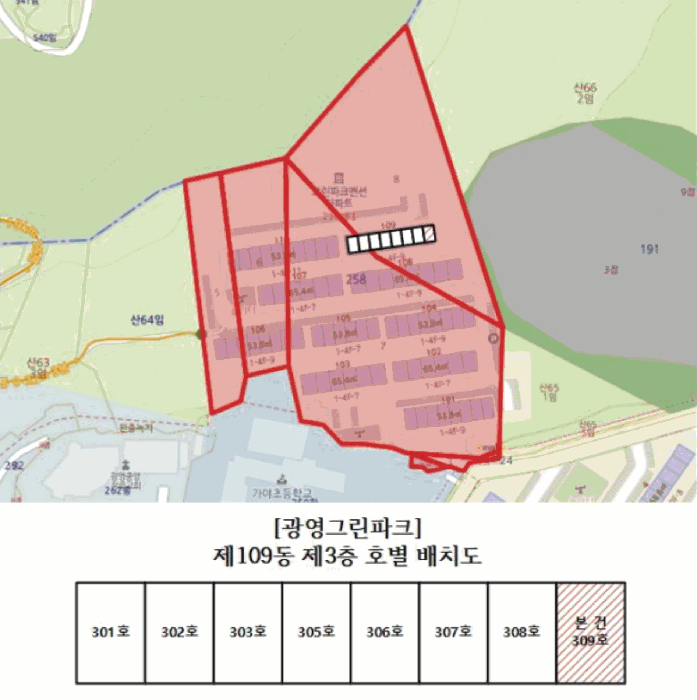 사진 5