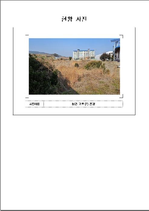 사진 13