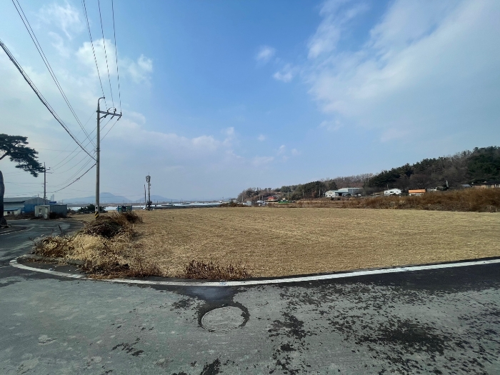 사진 1