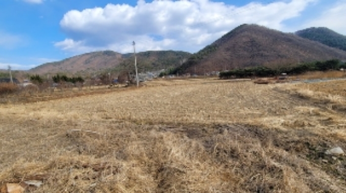 사진 12