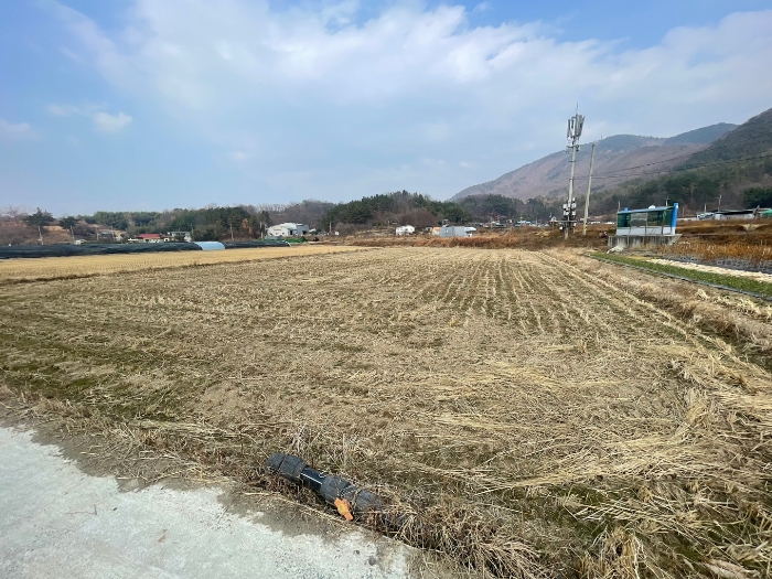 사진 2