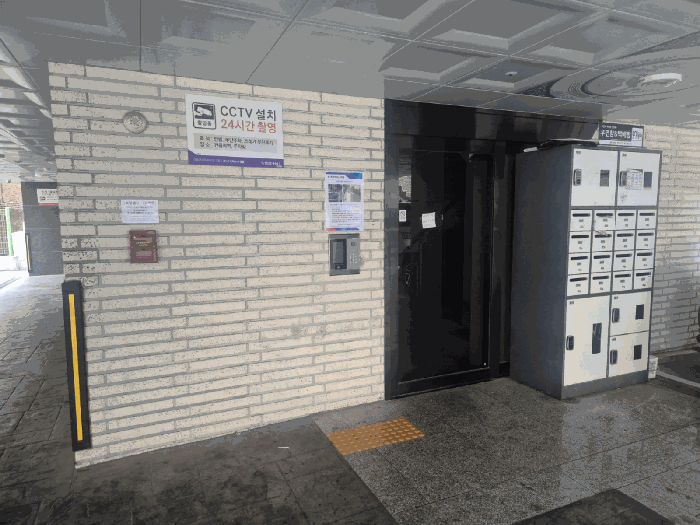 사진 10