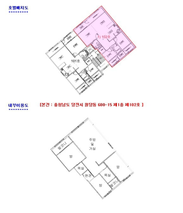 사진 5