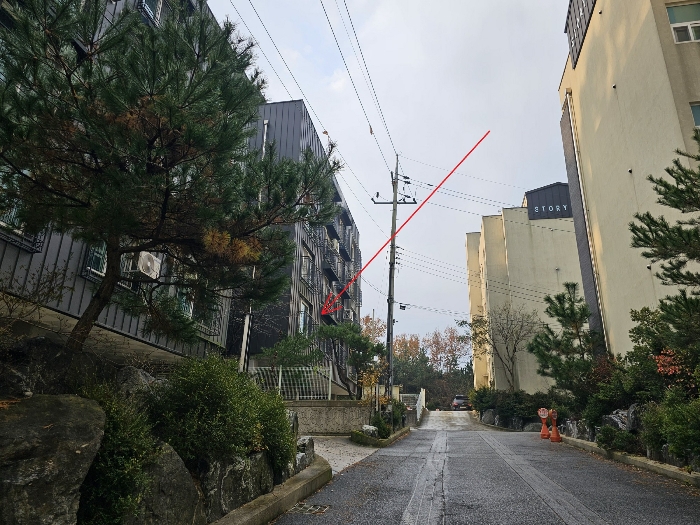 사진 9