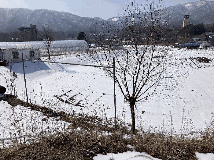 사진 6