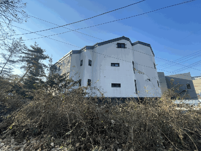 사진 12