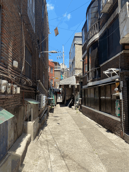 사진 12