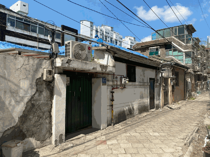 사진 13