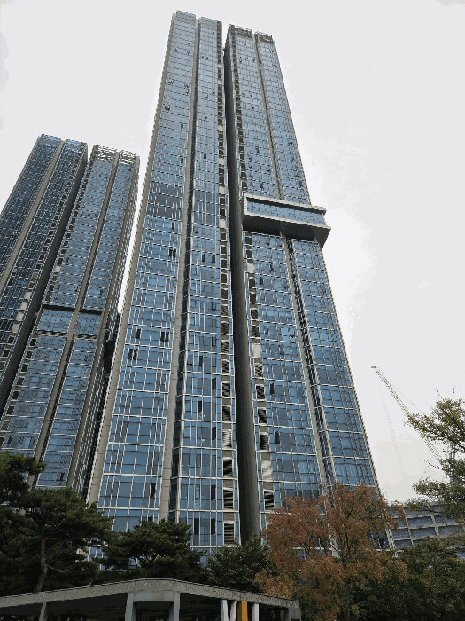 사진 10