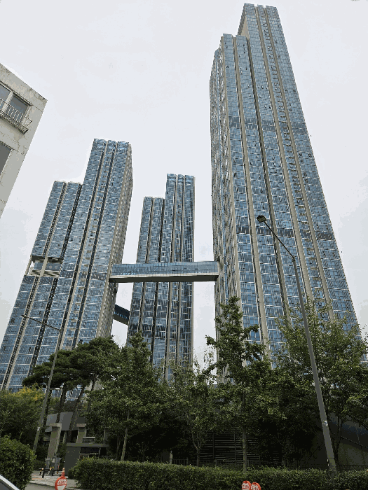 사진 7