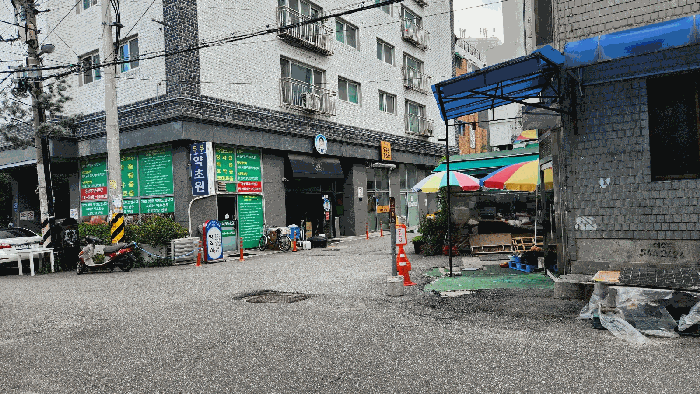 사진 11